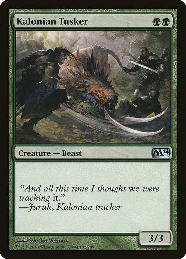 Kalonian Tusker | 182