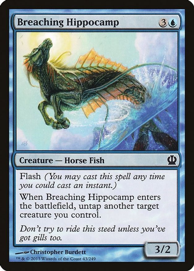 Breaching Hippocamp | 43