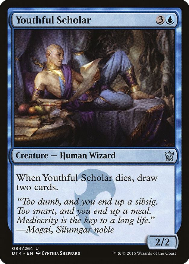 Youthful Scholar | 84